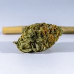 Best THC Chocolate in Prague img-1032.jpg