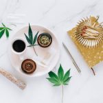 Prague Cannabis THC Chocolate and More img-1046.jpg