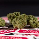 Prague Cannabis & Chocolate Supplier img-1172.jpg