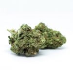 Prague Cannabis Delivery img-1217.jpg
