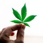 Prague Vape Delivery: The Most Reliable and Affordable THC‑Rich Vapes and Cannabis Products img-1387.jpg
