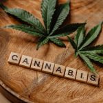 Same Day Hemp Delivery in Prague img-1504.jpg