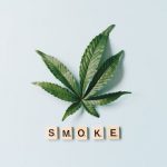 Prague is rapidly becoming a hub for cannabis enthusiasts, medical patients, and curious tourists alike img-1607.jpg