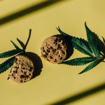 Welcome to the premier weed market shop in Prague img-1689.jpg