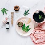 Prague’s Hemp Boutique: Premium Cannabis, Hemp, and CBD Products img-1808.jpg