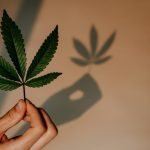 Prague Express Cannabis Delivery img-1977.jpg
