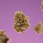 Buy THC Vapes in Prague Online – Safe, Legal, and Convenient img-2078.jpg