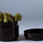 Prague Cannabis Shop Prices img-212.jpg
