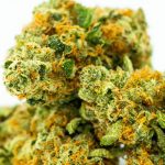 Prague Cannabis Guide: Buying Legal Marijuana, Hemp, and THC in the Czech Republic img-2159.jpg