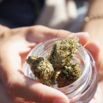 Prague is quickly becoming a hotspot for cannabis enthusiasts img-2161.jpg