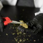 Prague Cannabis Shops: Premium THC Chocolate and Edibles img-2204.jpg