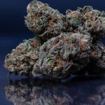 Prague Weed Delivery Service img-2227.jpg