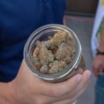 Prague is rapidly becoming a hotspot for Prague cannabis tourism img-2237.jpg