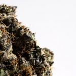 Discreet Cannabis Delivery in Prague img-2239.jpg