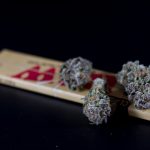 When it comes to finding the best THC vape in the heart of Europe Prague s vape boutique scene offers an unrivaled blend of quality variety and affordability img-225.jpg