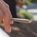 Prague Organic Hemp Market img-2355.jpg