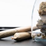 Buying THC Joints in Prague: Prices, Dispensaries, and Legal Guide img-2378.jpg
