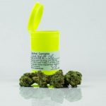 Premium Hemp and Cannabis in Prague img-2506.jpg