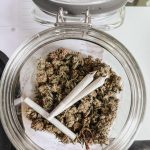 Premium THC Vapes in Prague Fast Shipping Affordable Prices and Discreet Delivery img-252.jpg