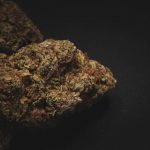 Welcome to the premier cannabis retailer in the heart of Prague img-2565.jpg