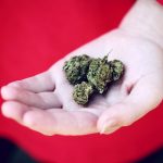 Prague is becoming a hub for cannabis enthusiasts looking for a reliable, discreet, and compliant way to enjoy THC vape img-2578.jpg