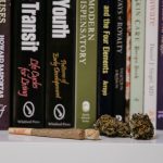 Welcome to the premier online shop for cannabis, marijuana, hemp, and THC products in Prague img-2652.jpg