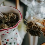 When you’re looking for the finest THC vapes in the Czech Republic’s capital, you’ll want a place that blends quality, variety, and customer care. img-2932.jpg