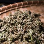 Prague Vape Shop: Cheap THC Vape Deals and Discounts img-2969.jpg