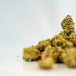 Welcome to Prague’s most trusted destination for high‑quality THC vapes and cannabis products img-3116.jpg