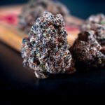 Discreet THC Joint Delivery in Prague's New Town img-364.jpg