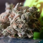 Fast and Discreet Cannabis Delivery in Prague img-611.jpg
