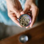 Welcome to the premier destination for cannabis, marijuana, hemp, THC, and weed lovers in the Czech Republic img-776.jpg