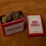 Prague Cannabis Shop img-829.jpg