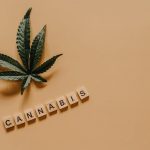 Premium THC Chocolate Delivery in Prague – Online Cannabis Shop img-961.jpg